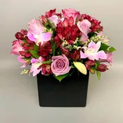 Bloomings Details