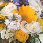 Classic Cheerful and Opulent