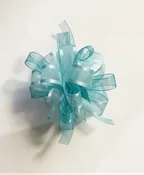 AQUA WRIST CORSAGE