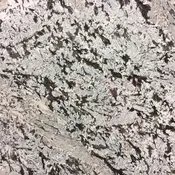 Bianco Antico