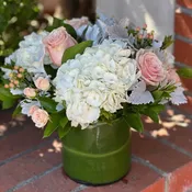 Soft and Feminine {Designer's Choice}