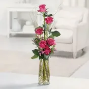 Heavenly Haft Dz