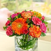 Birthday BR-A016