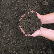 Gardening Soil