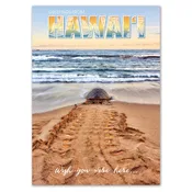 25-Pack Hawaii Generic Postcards Honu Greetings 5x7