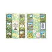 4" x 5" Michigan Wildflowers Note Cards 12 pack — Glen Arbor Artisans