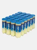 PRO PENN MARATHON+ TENNIS BALLS REGULAR DUTY 24-CAN CASE