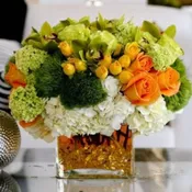 Citrus Explosion