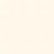 Confetti Cottons Solids - Vintage White