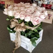 PINK ROSES IN A BOX