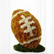 Football Tribute
