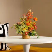 Bed-Stuy Collection: The Jefferson,  Summer/Fall  Edit