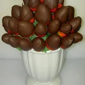 Berries in Chocolate