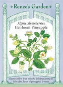 Alpine Strawberries - Heirloom Pineapple