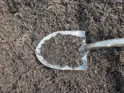 Brown Mulch