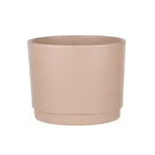 7391-06-1687 - Charleston Planter Rose Blossom - 6/Cs