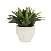 14" Agave Red Tipped Leaf in Stone Wash White Ceramic