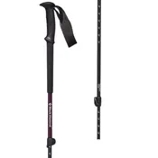 Black Diamond Trek Poles