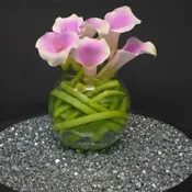 Lavender Infused Callas