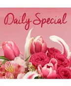 DAILY SPECIAL