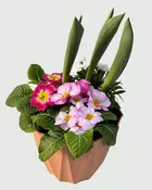 8' Bulb & Flowering Planter