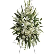 True Sympathy