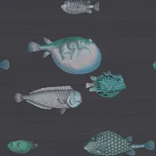 Acquario Fish (Multiple Colorways)