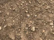 Screened Topsoil