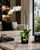 Black Solitude Orchid