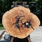 Ash Slab No. 1163