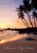 25-Pack Big Island Hawaii Postcards Turtle at Sunset 5x7