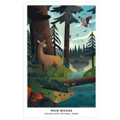 11x17 Print - Muir Woods