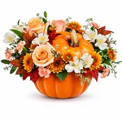 Hello Pumpkin