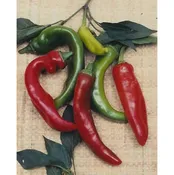 Anaheim Pepper Seeds