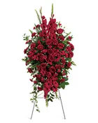 BEAUTIFUL ROSE