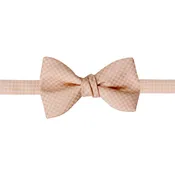 Allure Box Blush Bow Tie