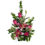 Blushing Pink  -  WFS0379