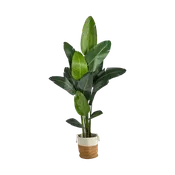 7 ft. Nomad Palm Tree