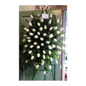 SYMPATHY SPRAY - SYM-086