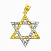 10KT White and Yellow Gold 30MM Star of David Pendant. Chain not Included.