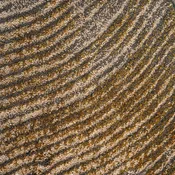Abyss Habidecor Lana Bath Rug - Gold (800)