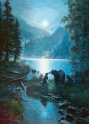 Bear Night 1000 PC