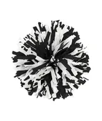 2-Color Plastic Youth 5 Inch Pom