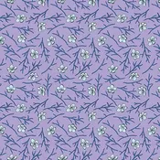 2025 LTD - Blossom Lavender