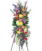 CONSOLING COLORS