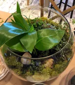 Ticket for Terrarium Workshop on March 12, 2020