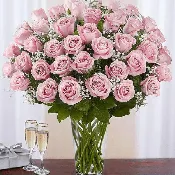 4 Dozen Pink Rose Vase