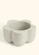 Oat Petal Planter