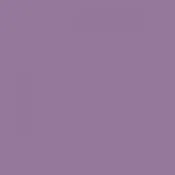 Confetti Cottons - Grape - Riley Blake Designs - Solid Fabrics