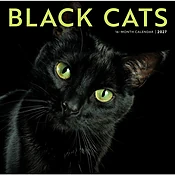 Black Cats 2027 Wall Calendar